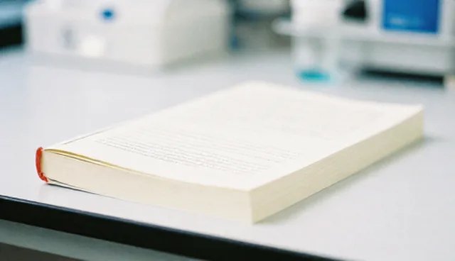 材料供应：施工流程中的关键环节分析